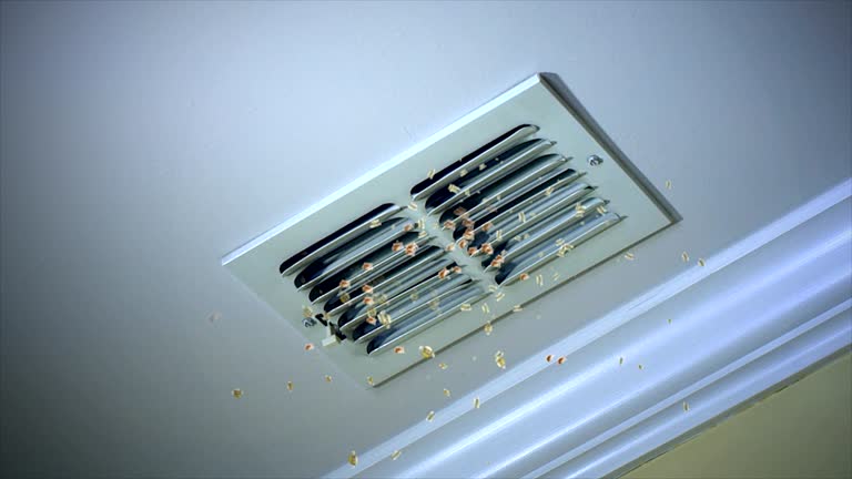 Best Home Air Vent Cleaning  in St Paul, MO