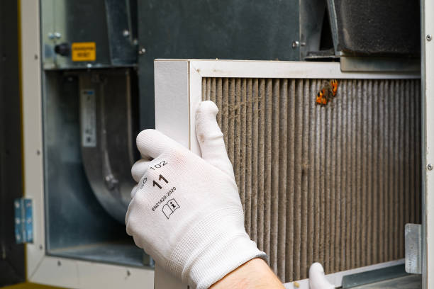 Best HVAC System Cleaning  in St Paul, MO