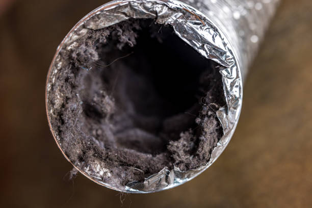 Best Professional Duct Cleaning Services  in St Paul, MO